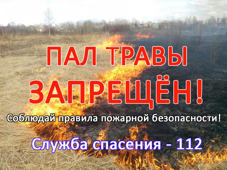 Информация из МЧС.